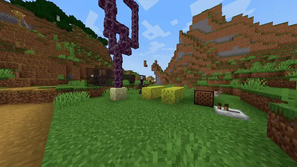 Imagen con varios bloqques de minecraft en un bioma de planicie